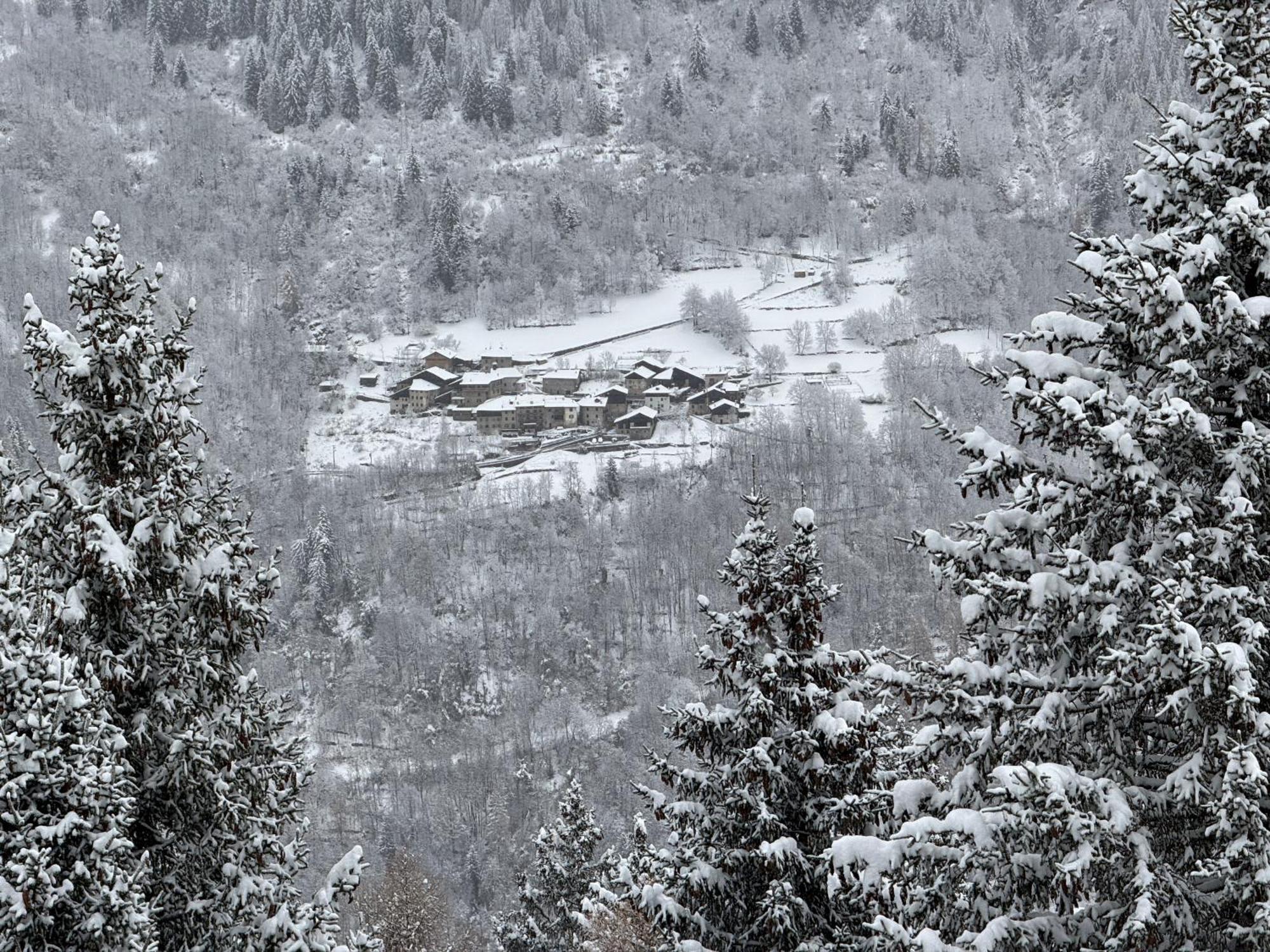Panorama Marilleva 1400 - Val Di Sole Lejlighed Eksteriør billede