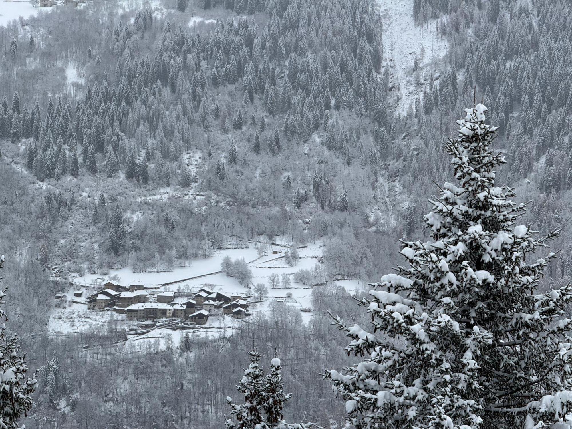 Panorama Marilleva 1400 - Val Di Sole Lejlighed Eksteriør billede